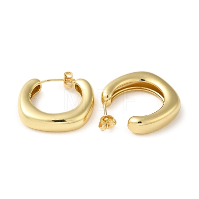 Brass Hoop Earrings EJEW-D273-04G-1