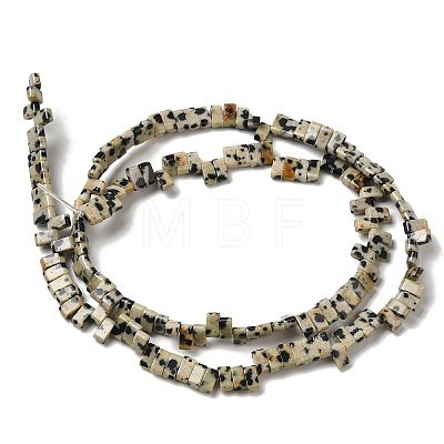 Natural Dalmatian Jasper Beads Strands G-Z045-A07-01-1