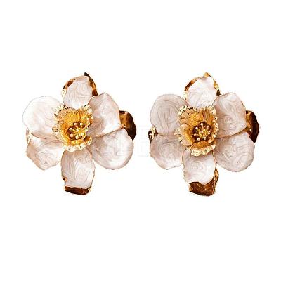 Alloy & Enamel Stud Earrings FS-WG16B62-03-1