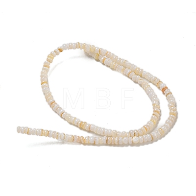 Dyed Natural Freshwater Shell Beads Strands BSHE-G039-07N-1