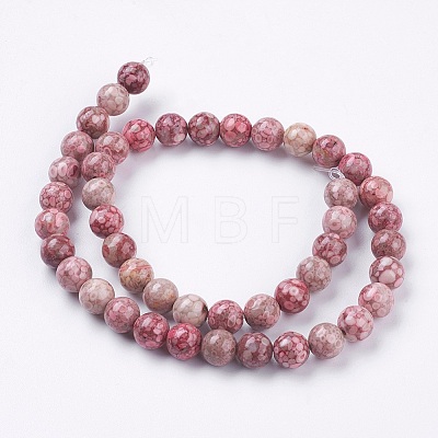 Natural Fossil Coral Beads Strands G-F563-01-8mm-1