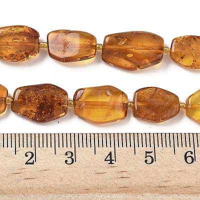 Natural Amber Beads Strands G-L095-C01-04-1