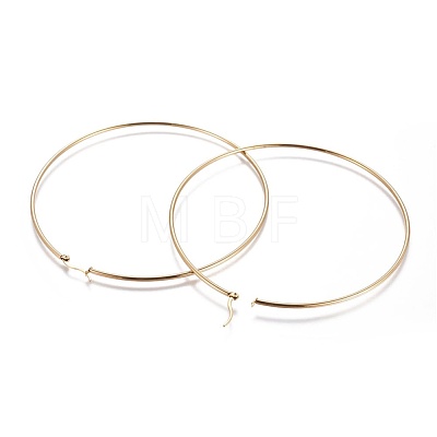 304 Stainless Steel Hoop Earrings EJEW-L226-001B-1