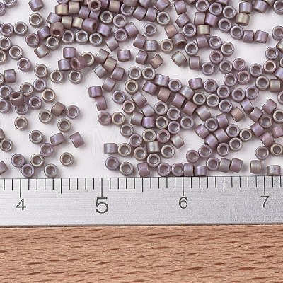 MIYUKI Delica Beads SEED-J020-DB2321-1