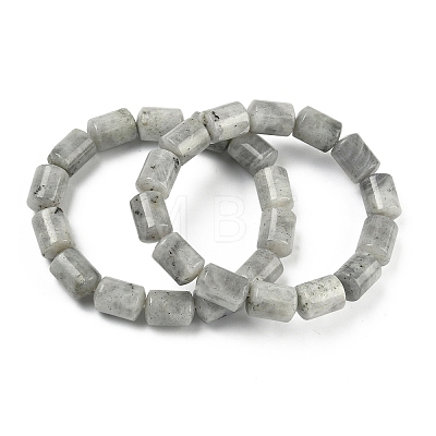 Column Natural Labradorite Beads Stretch Bracelets for Women Men BJEW-A148-01A-24-1