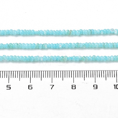 Natural Freshwater Shell Beads Strands SHEL-P017-01A-03-1