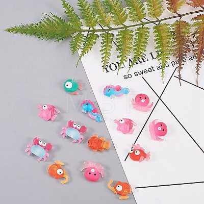 Translucent Frosted Resin Cabochons CRES-CJ0001-17-1