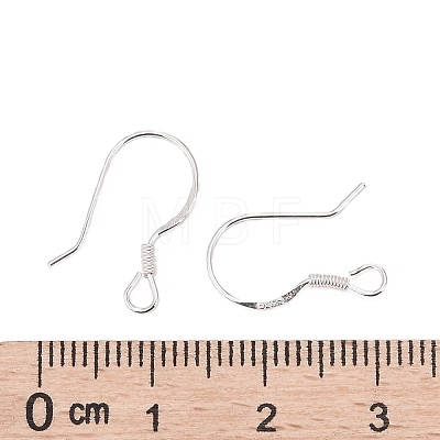 925 Sterling Silver Earring Hooks STER-G011-22-1