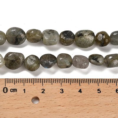 Natural Labradorite Beads Strands G-P497-01E-47-1