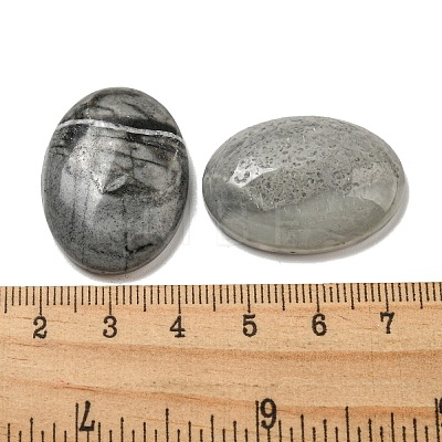 Natural Picasso Jasper Cabochons G-C115-01B-37-1