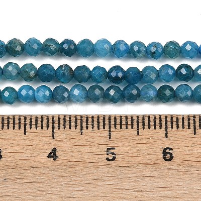 Natural Apatite Beads Strands G-E411-36-3mm-01-1