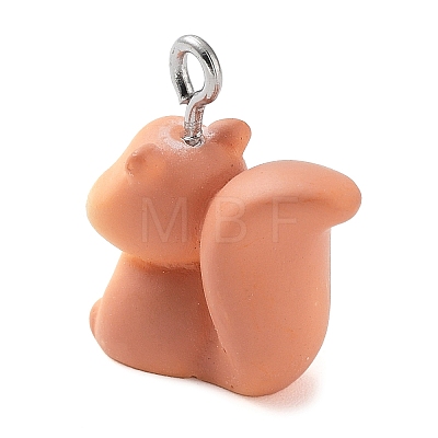 Opaque Resin Pendants RESI-Z014-01H-1