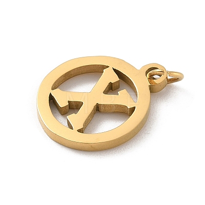 304 Stainless Steel Charms
with Jump Ring STAS-R001-02G-X-1
