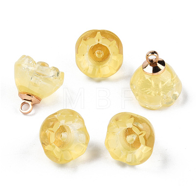 Transparent Spray Painted Glass Charms GLAA-N035-031-C05-1