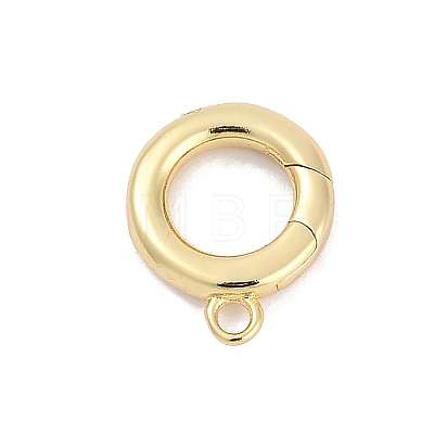 Brass Spring Gate Clasps KK-M311-25G-02-1