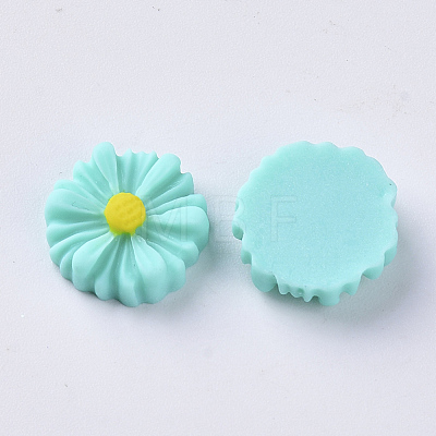 Resin Cabochons CRES-S306-014A-1
