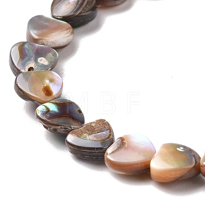 Natural Paua Shell Beads Strands SSHEL-G023-15-1