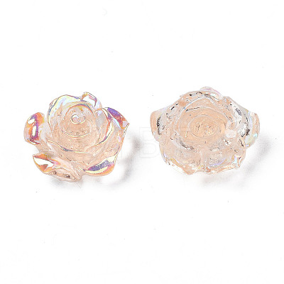 Transparent Resin Cabochons CRES-N030-001B-05-1