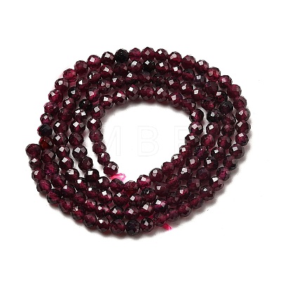 Natural Garnet Beads Strands G-I341-09B-01-1