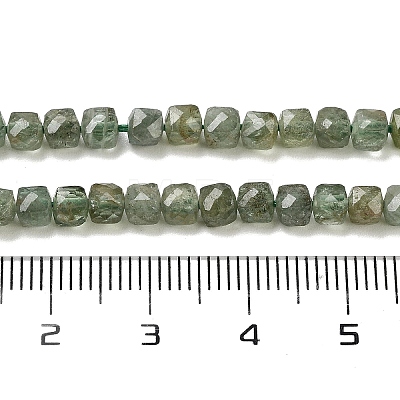 Natural Green Apatit Beads Strands G-H042-A12-02C-1