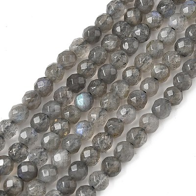 Natural Labradorite Beads Strands G-G213-4mm-03-1