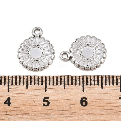 304 Stainless Steel Charms STAS-L317-24P-1