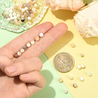 100Pcs 5 Styles Natural White Shell & Trochid Shell & Freshwater Shell Beads SSHEL-YW0001-17-1