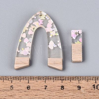 20Pcs 10 Styles Transparent Resin & Ash Wood Pendants RESI-N053-17-1