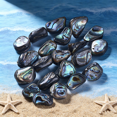 1 Strand Natural Abalone Shell/Paua Shell Beads Strands SSHEL-PA0001-03-1