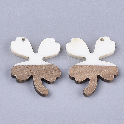 Resin & Walnut Wood Pendants RESI-S358-58A-1