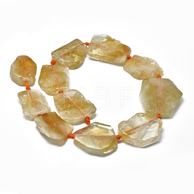 Natural Citrine Beads Strands G-E401-H04-1