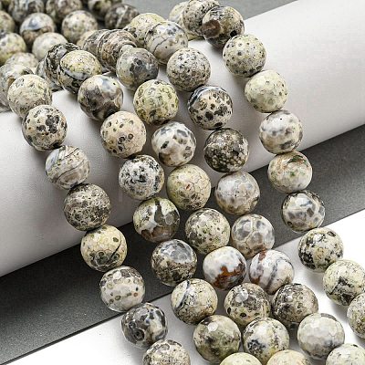 Faceted Natural Fire Crackle Agate Beads Strands G-F447-12mm-H03-1