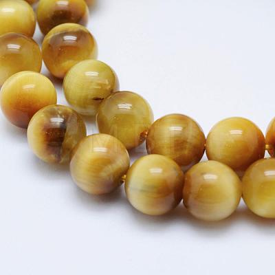 Natural Gold Tiger Eye Beads Strands G-K203-84-8mm-1