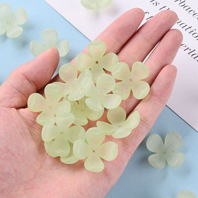 Frosted Acrylic Bead Caps MACR-S371-06A-728-1