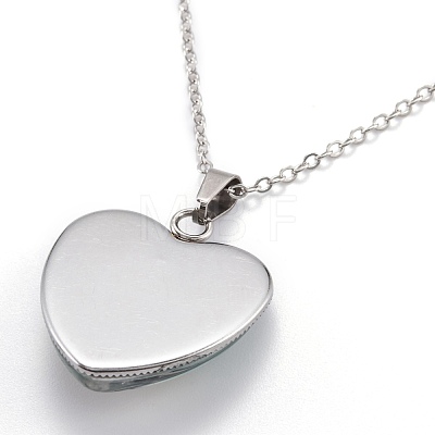 Stainless Steel Pendant Necklaces NJEW-B078-01-1