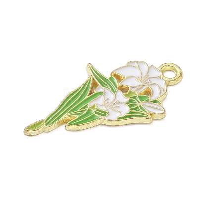Alloy Enamel Pendants ENAM-P258-04H-G-1