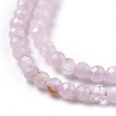 Natural Kunzite Beads Strands G-C009-A09-1