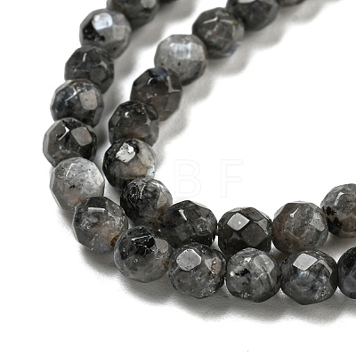 Natural Larvikite Beads Strands G-E571-A09-04-1