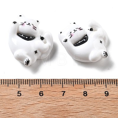 Resin Cabochons CRES-D277-01I-1