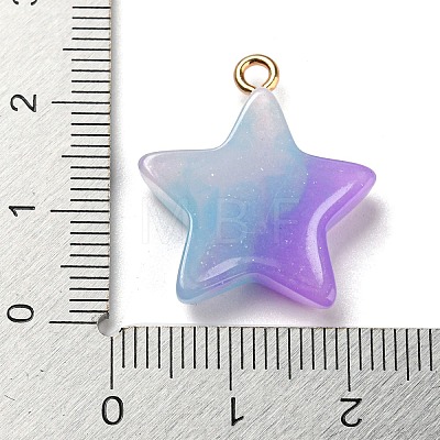 Gradient Color Resin Pendants FIND-Z010-01C-1