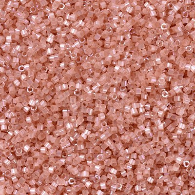 MIYUKI Delica Beads X-SEED-J020-DB1863-1