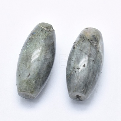 Natural Labradorite Beads G-P384-T26-1