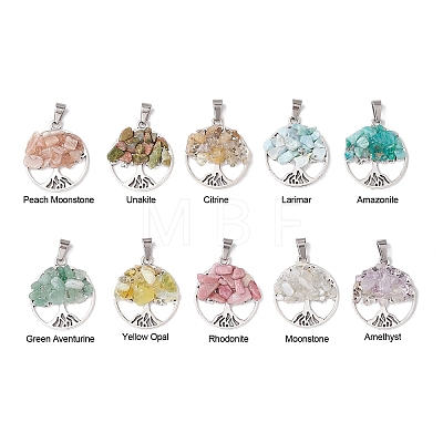 10Pcs 10 Styles Natural Mixed Gemstone Chip Pendants PALLOY-JF02836-1