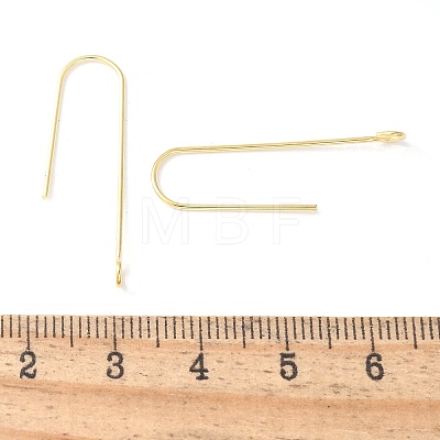 316 Surgical Stainless Steel Earring Hooks STAS-Z124-02D-G-1