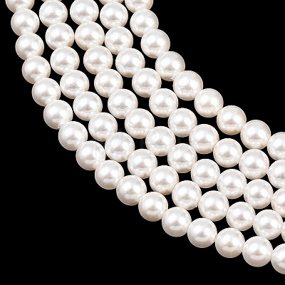 Electroplated Shell Pearl Beads Strands BSHE-C011-02-1