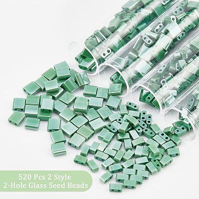  520Pcs 2 Style 2-Hole Glass Seed Beads SEED-NB0001-72B-1