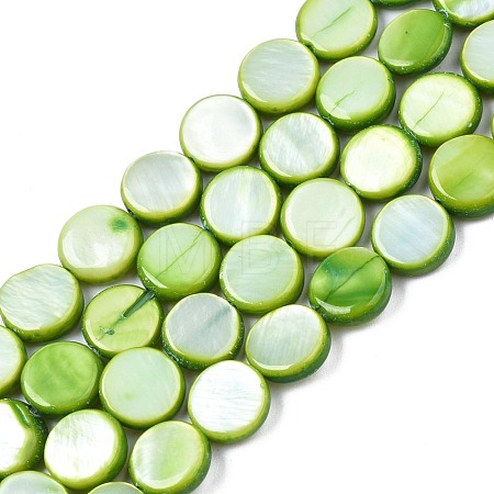Freshwater Shell Beads Strands SHEL-T009-B16-04-1