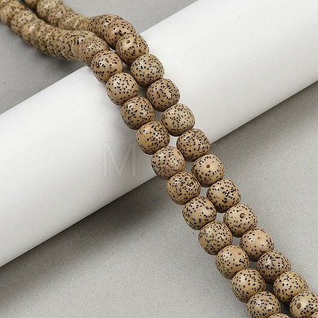Natural Rudraksha Bodhi Seed Beads Strand WOOD-B010-A03-8x9mm-1