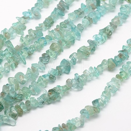 Chips Natural Apatite Beads Strands X-G-N0164-44-1
