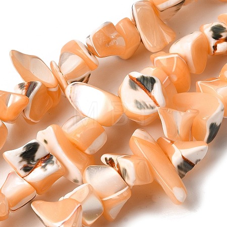 Natural Trochid Shell/Trochus Shell Beads Strands SHEL-B003-02B-1